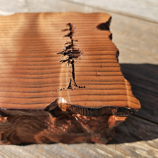 Handmade Wood Box with Redwood Tree Engraved Rustic Curly Wood #616