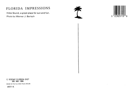 Vintage Florida Postcard 4x6 Hobe sound FL Scenic Florida Distributors 1980s Werner Bertsch Lifeguard Shack Beach People Pink Purple Border