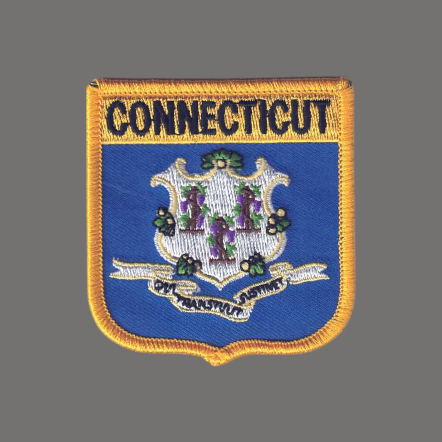 CONNECTICUT Med Flag Shield Patch - 1305