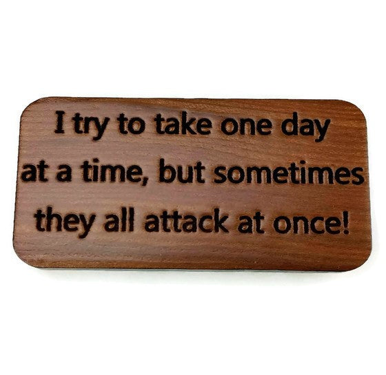 Wholesale Funny Magnet I Try to Take One Day