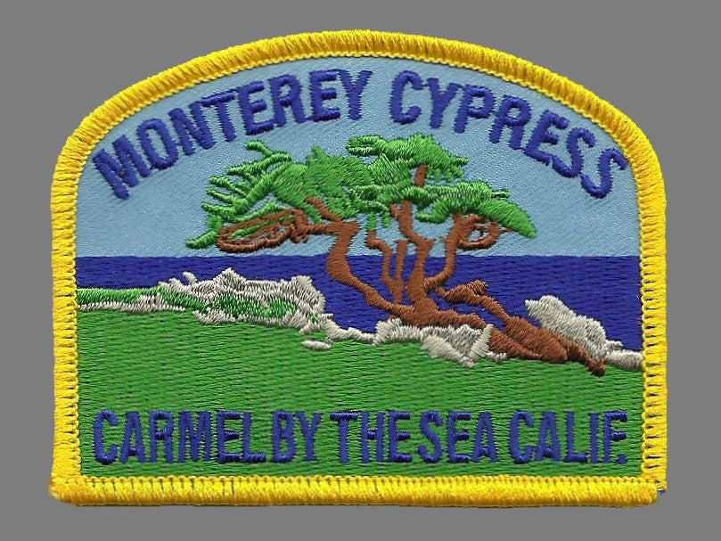 MONTEREY CYPRESS Carmel Patch - CARMEL-14