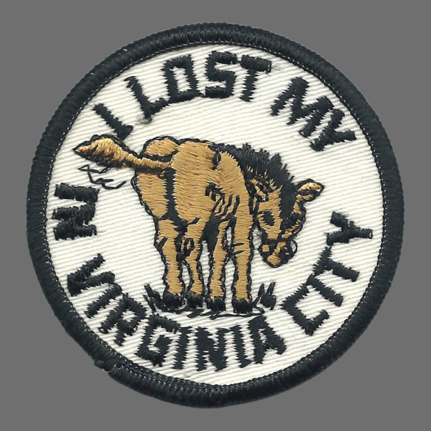 Vintage I LOST MY (ass) in Virginia City - Souvenir Patch SEW ON - VirginiaCity-19