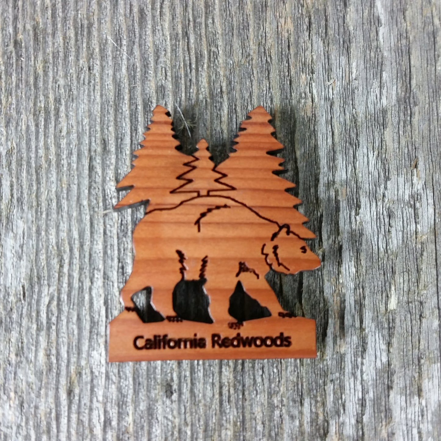 California Redwoods Bear Tree Wood Refrigerator Magnet Souvenir Made in USA - 4002